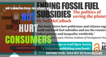 Ending Fossil Fuel Subsidies: A Win for Consumers and Climate