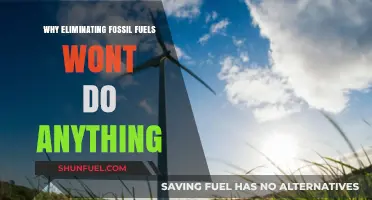 Beyond Fossil Fuels: Why Elimination Alone Won't Solve Climate Crisis