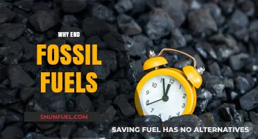 Ending Fossil Fuels: Urgent Climate Action for a Sustainable Future