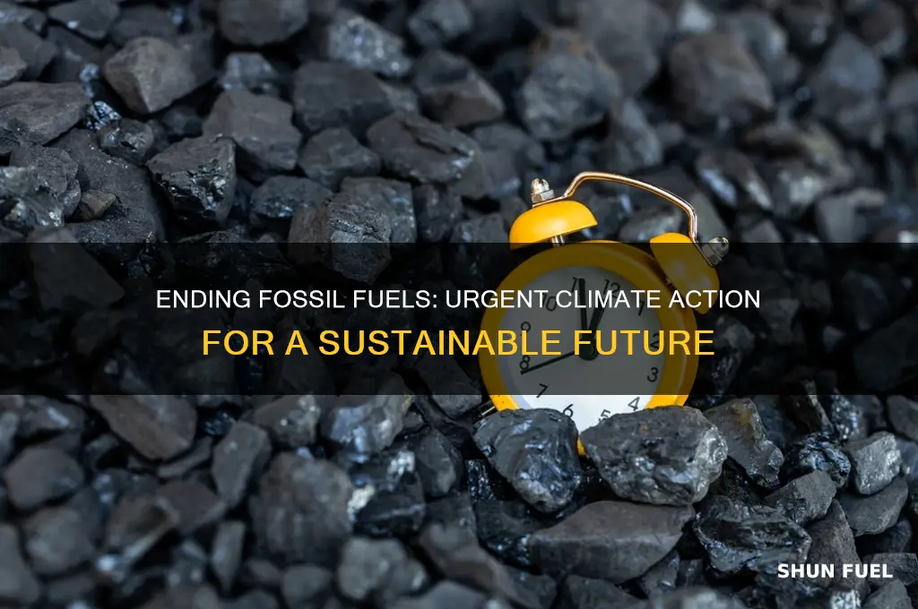 why end fossil fuels