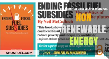 Fossil Fuel Subsidies: Why Non-Renewable Energy Still Dominates Support