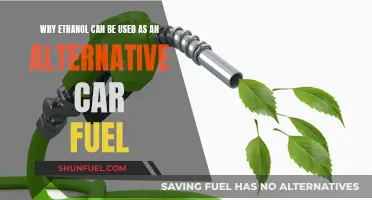 Ethanol's Green Potential: A Sustainable Car Fuel Alternative