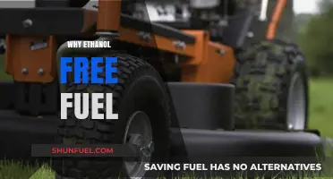 Exploring the Benefits of Ethanol-Free Fuel for Your Vehicle