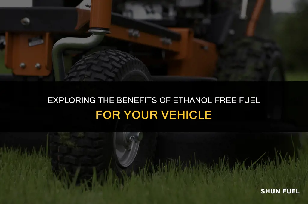 why ethanol free fuel
