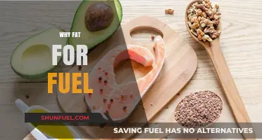 Unlocking Energy: The Surprising Benefits of Fat as Fuel