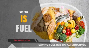 Nourishing Your Body: Understanding Why Food Is Fuel