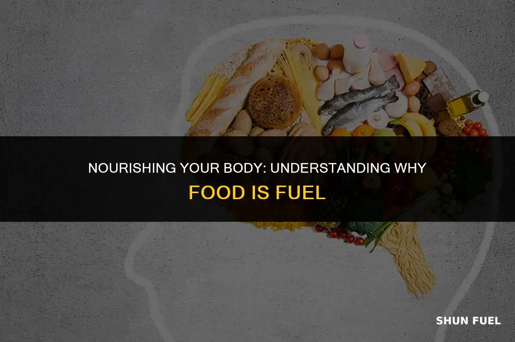 why food is fuel