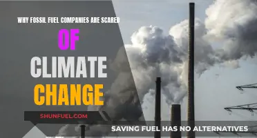 Fossil Fuel Companies Fear Climate Change: What's the Deal?