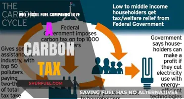 Carbon Tax: A Fossil Fuel Industry's Stealthy Profit Strategy