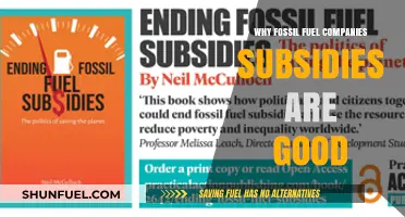 Fossil Fuel Subsidies: Supporting Energy Security and Economic Growth