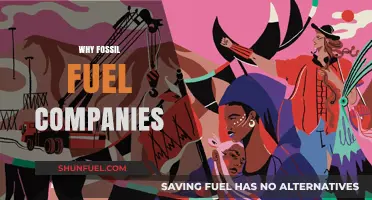 Why Fossil Fuel Companies Resist the Green Energy Transition
