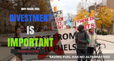 Fossil Fuel Divestment: A Crucial Step Toward a Sustainable Future