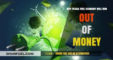Fossil Fuel Economy's Financial Collapse: The Inevitable Money Drain