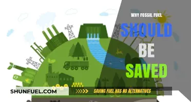 Preserving Fossil Fuels: A Strategic Approach for a Sustainable Future
