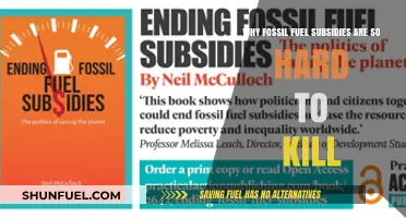 Ending Fossil Fuel Subsidies: Why This Stubborn Policy Persists