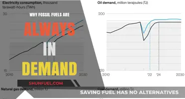 The Persistent Demand for Fossil Fuels: Unraveling the Global Reliance