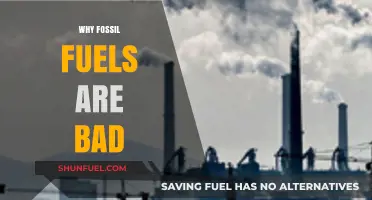 Fossil Fuels: Damaging Our Planet, Our Health