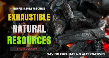Fossil Fuels: Exhaustible Resources and Their Finite Nature Explained