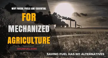 Fossil Fuels: Powering Mechanized Agriculture's Efficiency and Global Food Security
