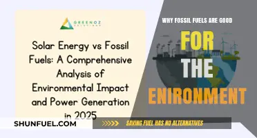 Fossil Fuels' Surprising Environmental Benefits: A Balanced Perspective