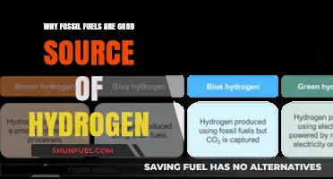 Fossil Fuels: A Reliable, Efficient Hydrogen Source for Energy Transition