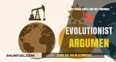 Fossil Fuels: Debunking Their Role in Evolutionist Narratives