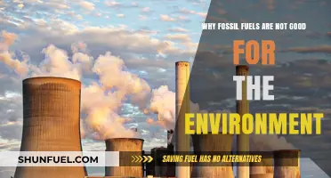 Fossil Fuels' Environmental Impact: Harmful Effects and Sustainable Alternatives
