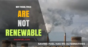 Fossil Fuels: Non-Renewable, Finite Energy Sources