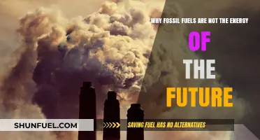 Fossil Fuels: Unsustainable, Outdated, and Not the Future of Energy