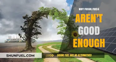Beyond Fossil Fuels: Why Clean Energy is Our Future