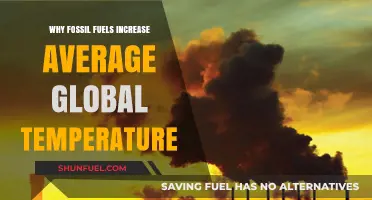 Fossil Fuels' Role in Rising Global Temperatures Explained