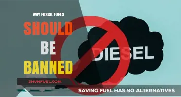 Ending Fossil Fuels: Protecting Our Planet and Future Generations