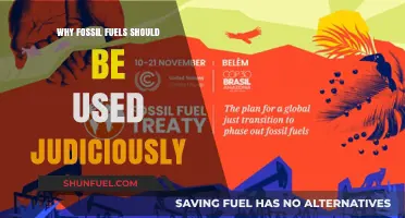 Sustainable Energy: The Urgent Need for Judicious Fossil Fuel Use