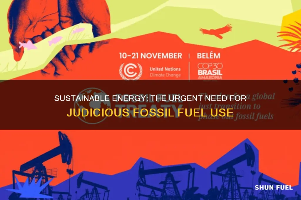 why fossil fuels should be used judiciously
