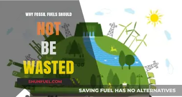Preserving Our Planet: The Urgent Need to End Fossil Fuel Waste