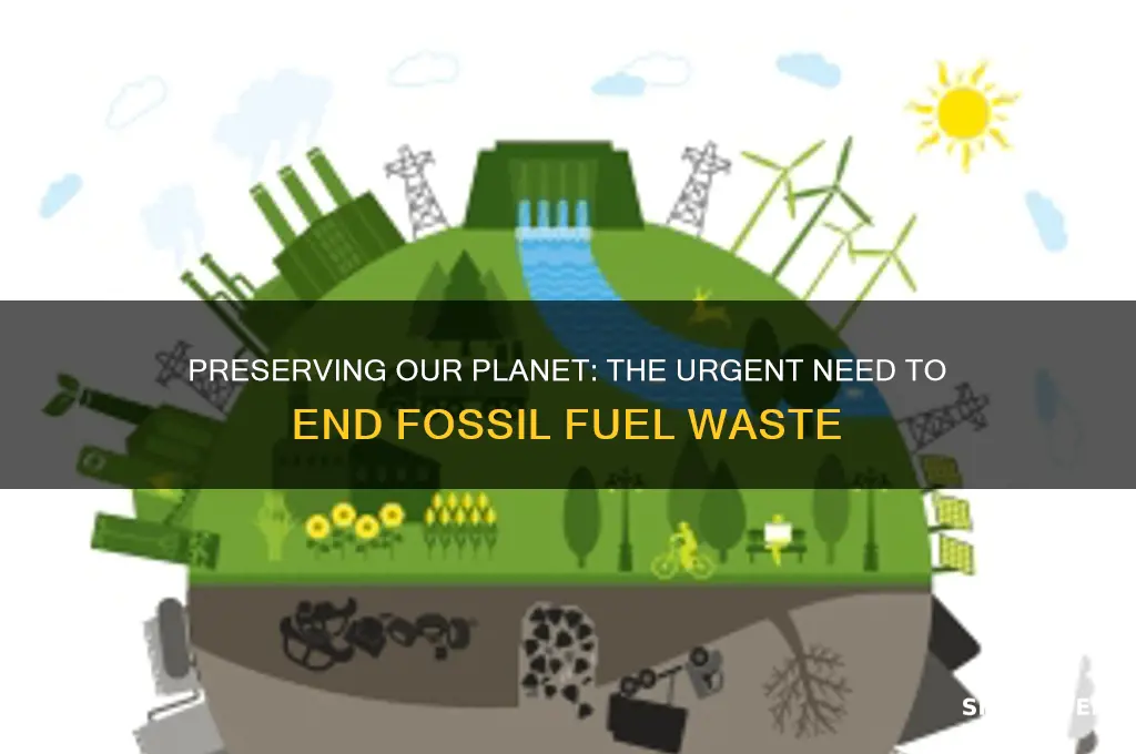 why fossil fuels should not be wasted