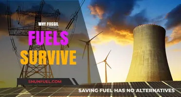 Why Fossil Fuels Persist: Unraveling Their Enduring Global Dominance