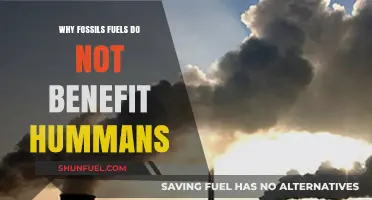 Fossil Fuels: A Costly and Harmful Energy Source