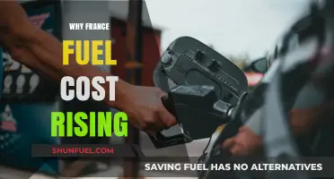 Exploring the Surge in Fuel Costs: A French Perspective