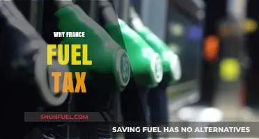 Exploring the Impact of France's Fuel Tax: A Comprehensive Analysis