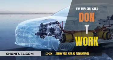 Fuel Cell Cars: Why They Don't Work