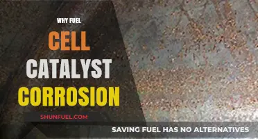 Unraveling the Mystery: Why Fuel Cell Catalysts Corrode
