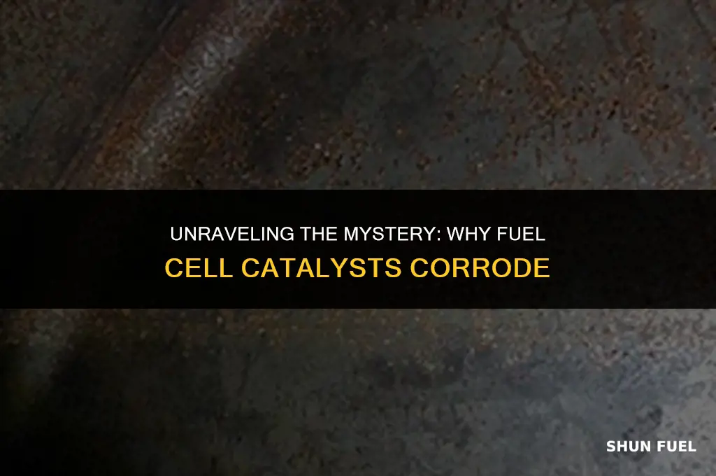why fuel cell catalyst corrosion
