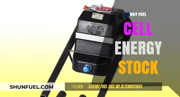 Exploring the Potential of Fuel Cell Energy Stocks
