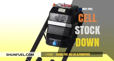 Exploring the Decline in Fuel Cell Stocks: Market Realities and Future Prospects
