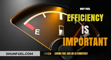Revving Towards Sustainability: The Critical Role of Fuel Efficiency