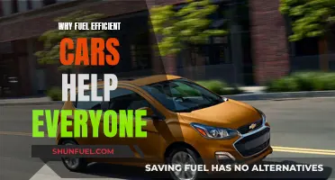 Fuel-Efficient Cars: Greener, Cheaper, and Better for All