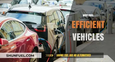 Revving Towards Sustainability: The Power of Fuel-Efficient Vehicles