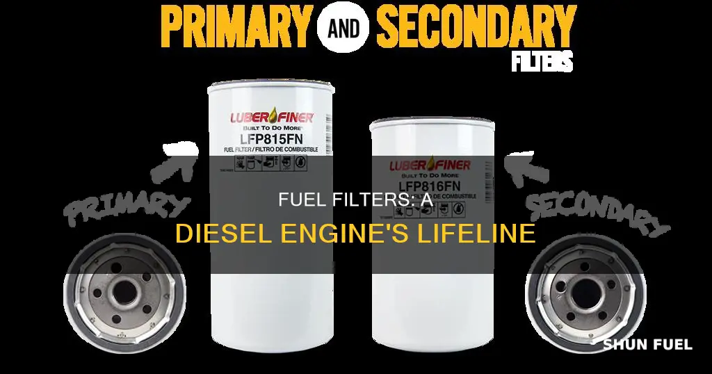 why fuel filter is essential in diesel engine