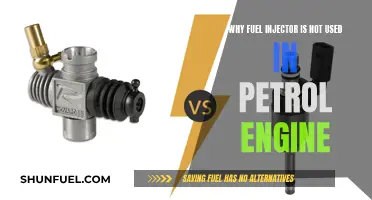 Fuel Injectors: Petrol Engines' Missing Piece?